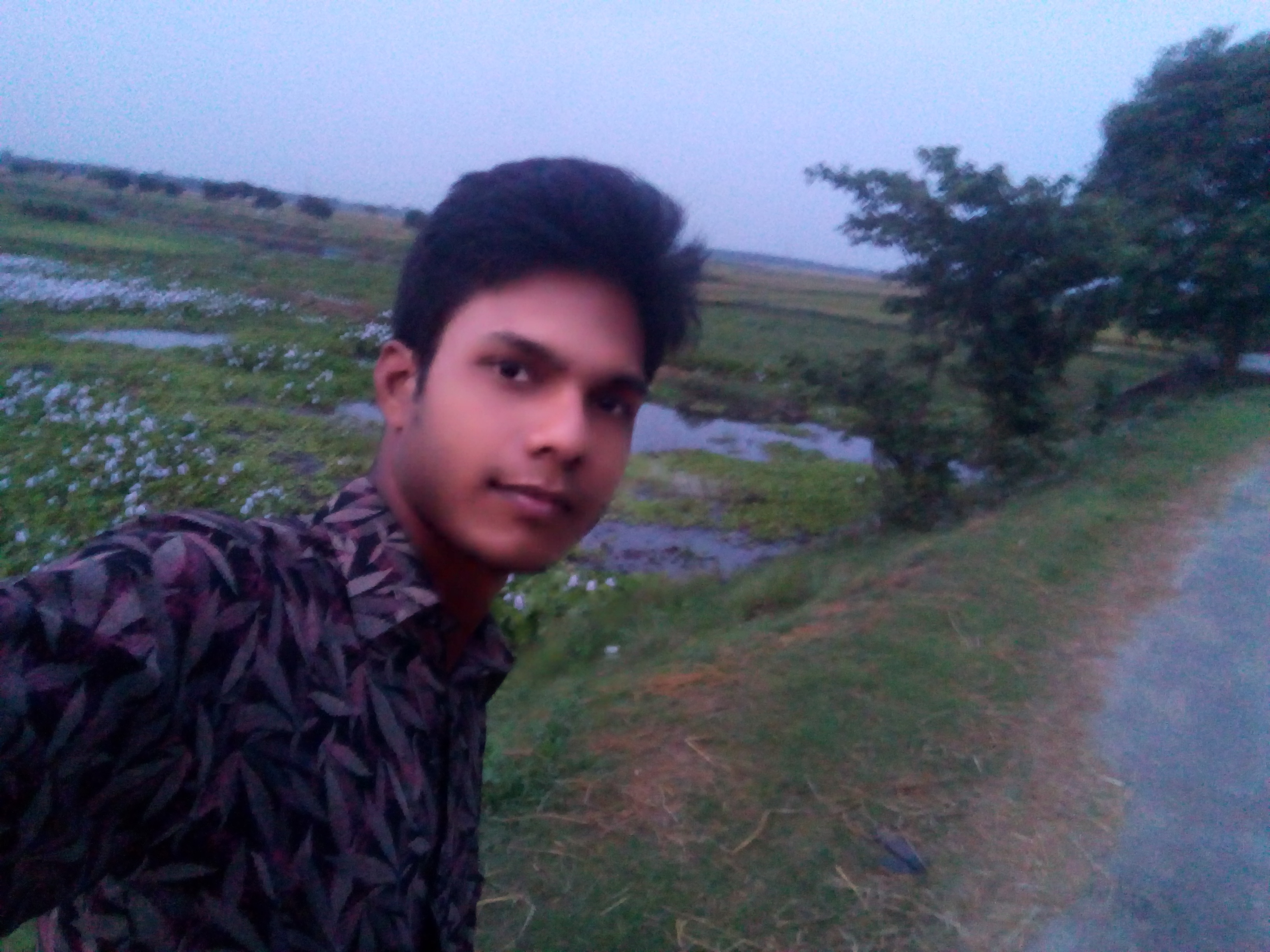 Profile Picture