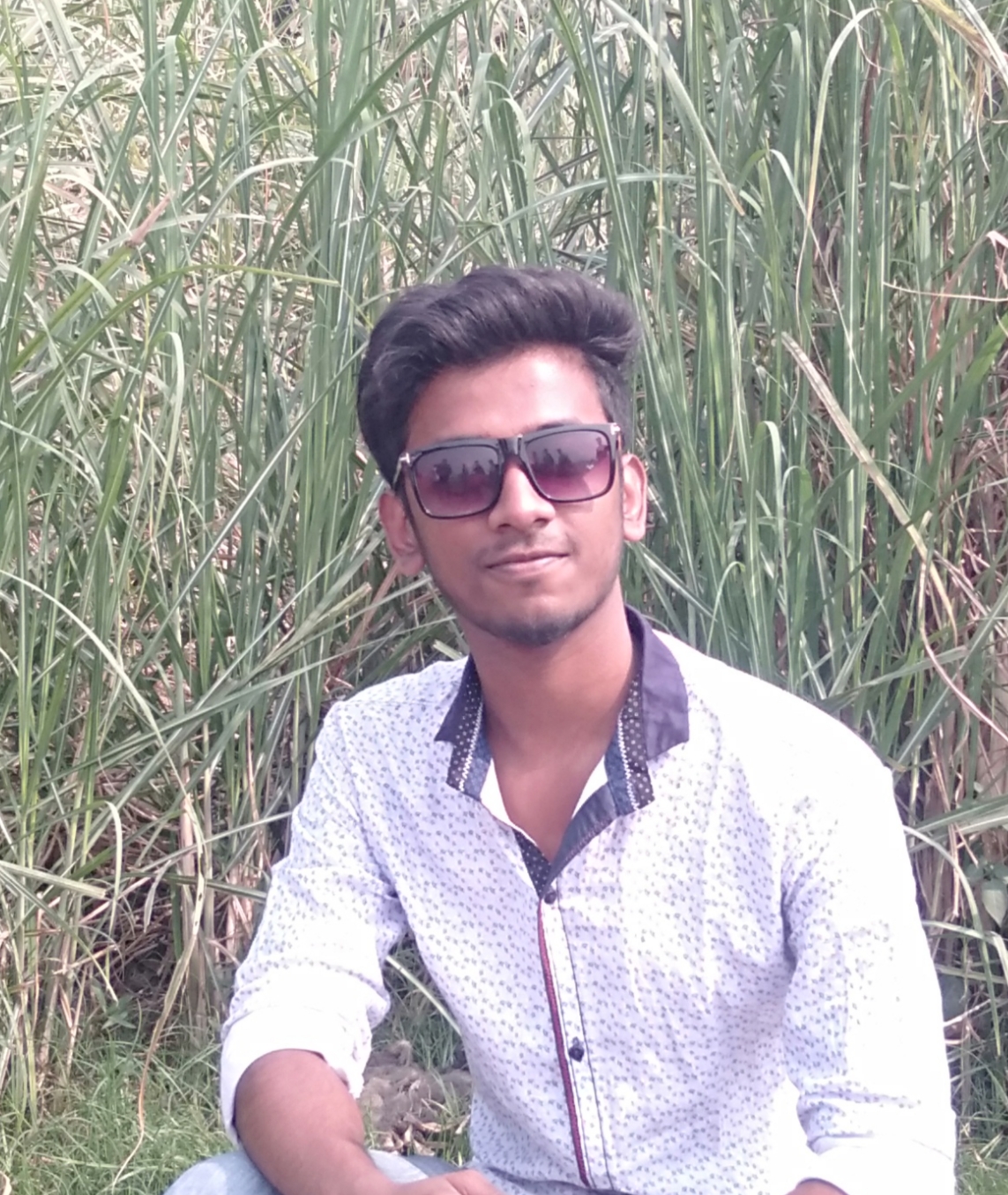 Profile Picture